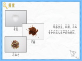 教科版科學(xué)一年級下冊1.7《它們?nèi)ツ睦锪恕氛n件
