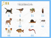 教科版科學(xué)一年級(jí)下冊(cè)2.1《我們周圍的動(dòng)物》課件