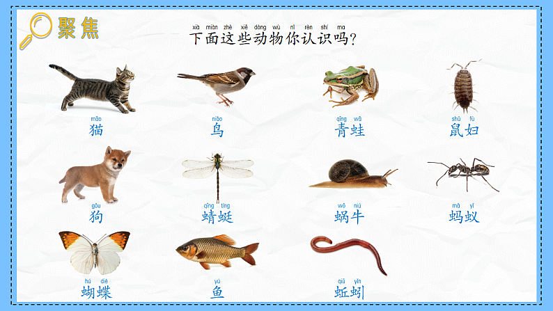 教科版科学一年级下册2.1《我们周围的动物》课件第4页