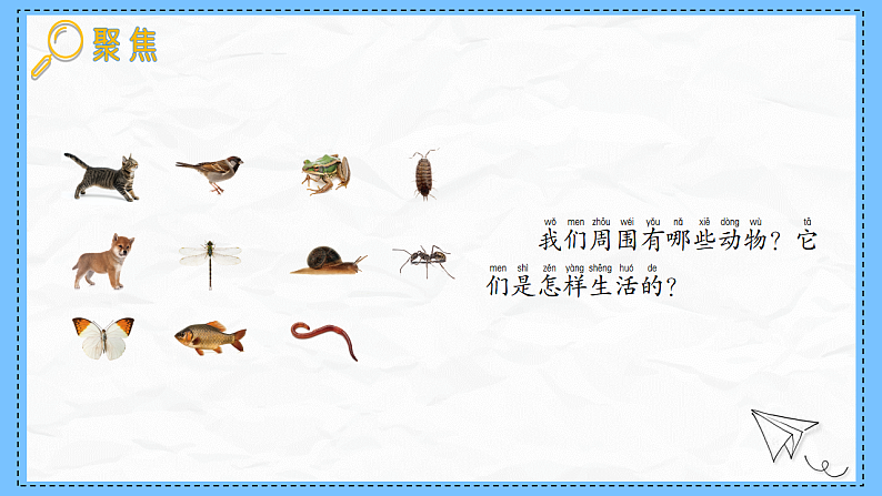 教科版科学一年级下册2.1《我们周围的动物》课件第5页