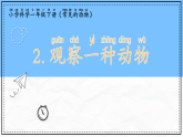 教科版科學(xué)一年級(jí)下冊(cè)2.2《觀察一種動(dòng)物》課件