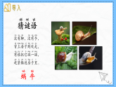 教科版科學(xué)一年級(jí)下冊(cè)2.2《觀察一種動(dòng)物》課件