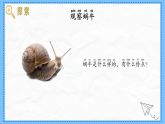 教科版科學(xué)一年級(jí)下冊(cè)2.2《觀察一種動(dòng)物》課件