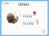 教科版科學(xué)一年級(jí)下冊(cè)2.2《觀察一種動(dòng)物》課件