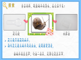 教科版科學(xué)一年級(jí)下冊(cè)2.2《觀察一種動(dòng)物》課件