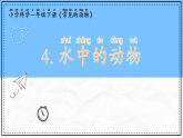 教科版科学一年级下册2.4《水中的动物》课件