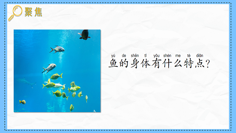 教科版科学一年级下册2.4《水中的动物》课件第2页