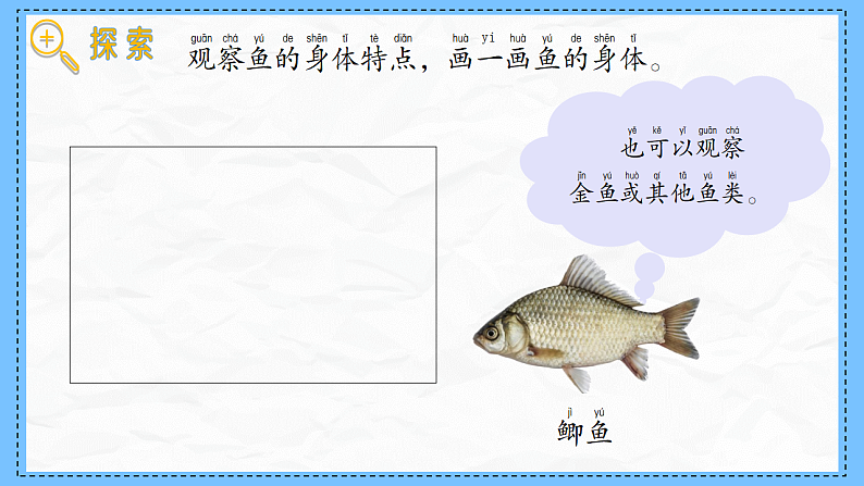 教科版科学一年级下册2.4《水中的动物》课件第4页