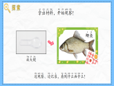 教科版科学一年级下册2.4《水中的动物》课件