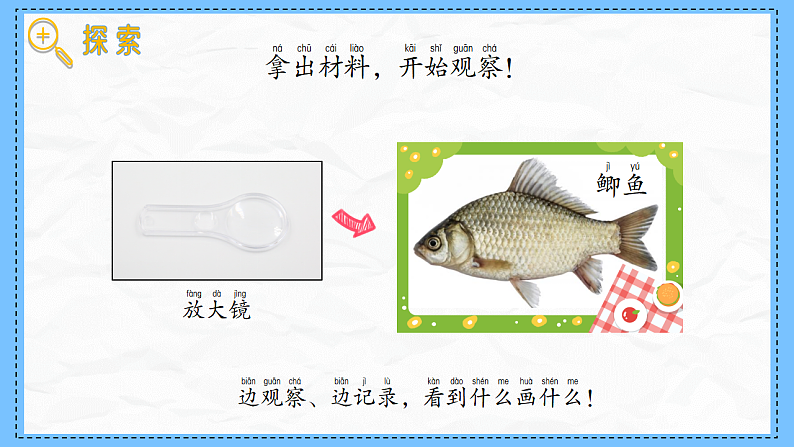 教科版科学一年级下册2.4《水中的动物》课件第5页