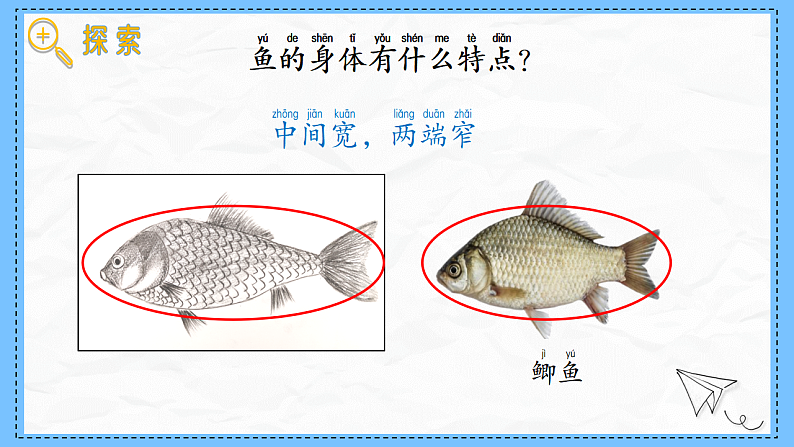 教科版科学一年级下册2.4《水中的动物》课件第6页