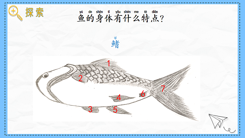 教科版科学一年级下册2.4《水中的动物》课件第8页