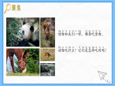 教科版科學(xué)一年級(jí)下冊(cè)2.5《它們吃什么》課件