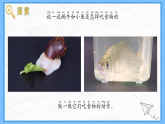 教科版科學(xué)一年級(jí)下冊(cè)2.5《它們吃什么》課件