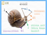 教科版科学一年级下册2.6《动物联欢会》课件