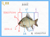 教科版科学一年级下册2.6《动物联欢会》课件