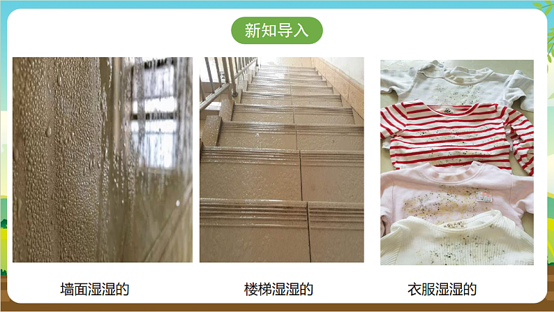 广州版八年级劳技上册 主题四《妙招应对回南天》（第一课时）课件第4页