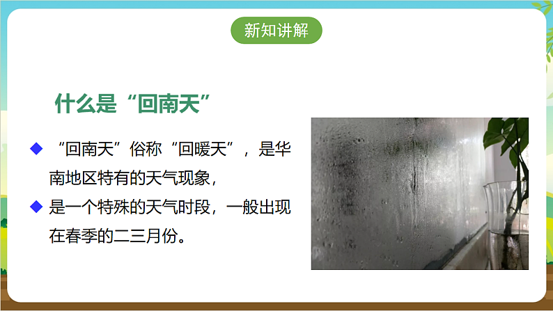 广州版八年级劳技上册 主题四《妙招应对回南天》（第一课时）课件第6页