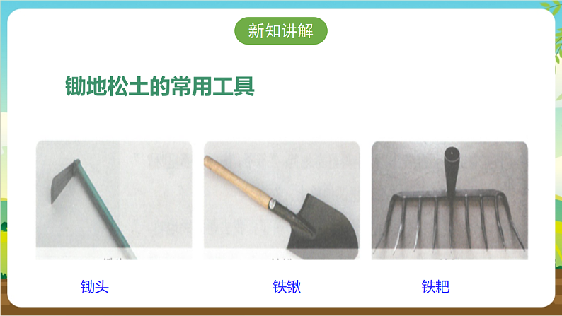 广州版八年级劳技下册 主题一《锄地松土不怕累》（第一课时）课件第7页