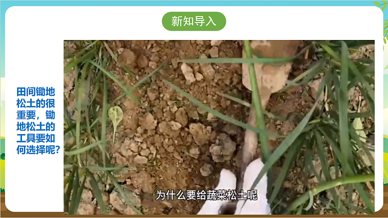 广州版八年级劳技下册 主题一《锄地松土不怕累》（第二课时）课件第4页