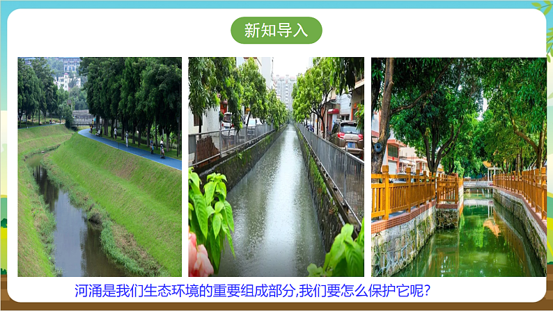 广州版八年级劳技下册 主题四《河涌治理现绿水》（第一课时）课件第4页
