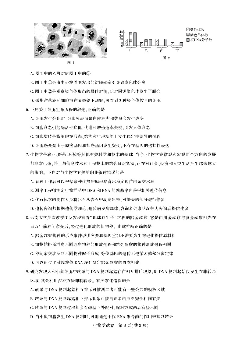 湖北省圆创高中名校联盟2025届高三高考模拟第三次联合测评-生物试卷+答案第3页