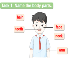 Assessment Ⅲ（課件）-2024-2025學(xué)年湘少版（三起）英語(yǔ)三年級(jí)下冊(cè)