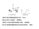 2025版高考物理回归教材《一年预测》讲义（word+PPT）含参考答案