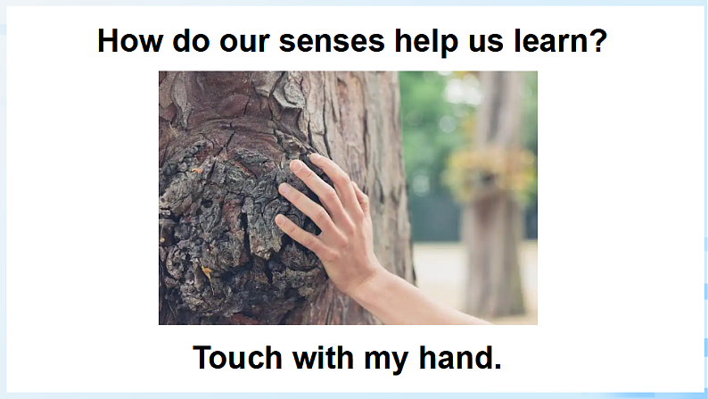 Part  B 第4课时第8页