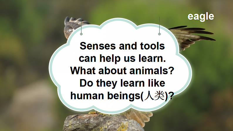 Part  C 第6课时第3页