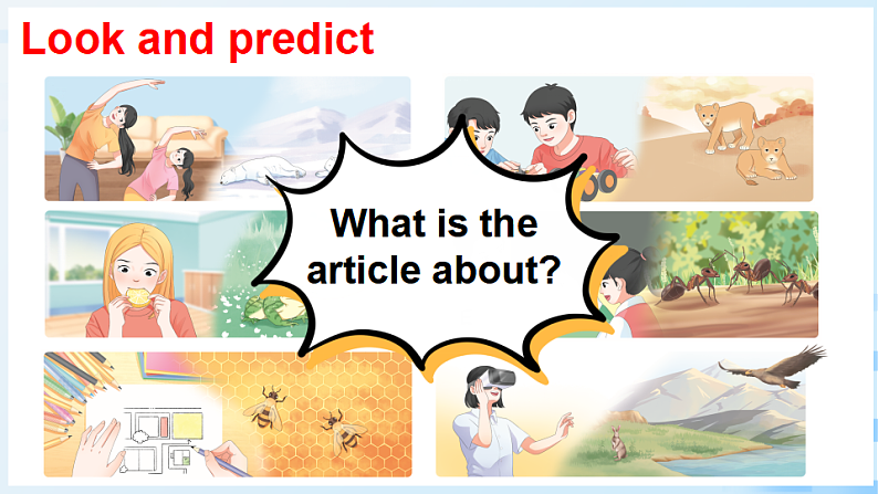 Part  C 第6课时第4页