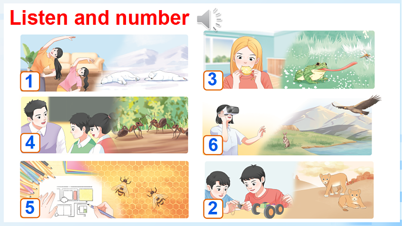 Part  C 第6课时第6页