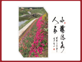 湘美版书法五下 第13课《竹字头》课件