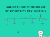 2024九年級物理全冊培優(yōu)作業(yè)十四探究性試題習(xí)題課件新版蘇科版
