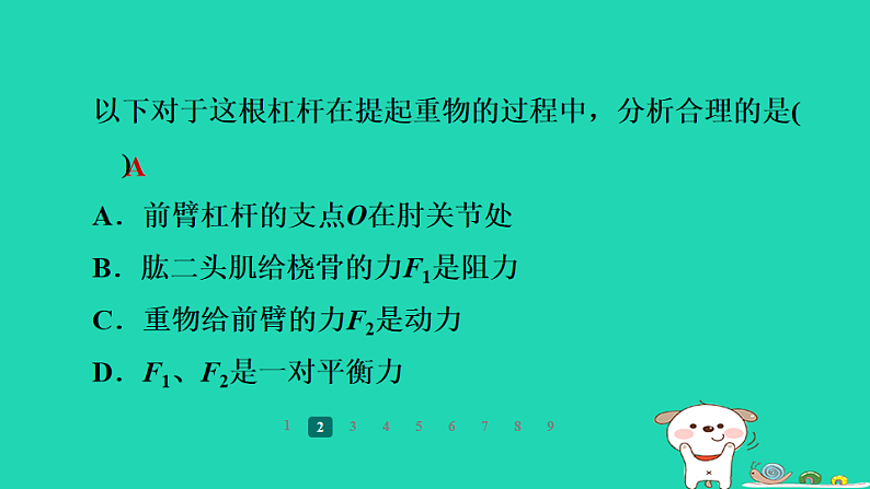 2024九年级物理全册培优作业一杠杆及杠杆平衡条件的应用分析习题课件新版苏科版第4页