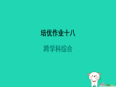 2024九年級物理全冊培優(yōu)作業(yè)十八跨學(xué)科綜合習(xí)題課件新版蘇科版