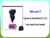 Unit 5 Fruit 第2課時（Cartoon time & Sounds in focus)（課件+素材）-2024-2025學(xué)年譯林版（三起）（2024）英語三年級下冊
