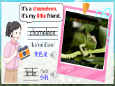 Unit 8 Colours 第3課時（Story time）（課件+素材）-2024-2025學(xué)年譯林版（三起）（2024）英語三年級下冊