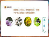 【核心素養(yǎng)優(yōu)質(zhì)課】人教版美術(shù)一年級下冊第1單元第1課《春天在哪里》教學(xué)課件+同步教案