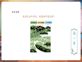 【核心素养优质课】人教版美术一年级下册第1单元第1课《春天在哪里》教学课件+同步教案