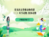 沪教版生物八下4.2.2《无脊椎动物（三）+环节动物、软体动物》课件