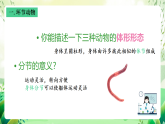 沪教版生物八下4.2.2《无脊椎动物（三）+环节动物、软体动物》课件