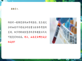 【核心素養(yǎng)優(yōu)質(zhì)課】冀少版生物七年級下冊 3.2.1.1血液（課件+同步教案+導(dǎo)學(xué)案+分層作業(yè)）