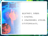 【核心素養(yǎng)優(yōu)質(zhì)課】冀少版生物七年級下冊 3.2.1.2血管（課件+同步教案+導(dǎo)學(xué)案+分層作業(yè)）