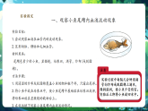 【核心素養(yǎng)優(yōu)質(zhì)課】冀少版生物七年級下冊 3.2.1.2血管（課件+同步教案+導(dǎo)學(xué)案+分層作業(yè)）