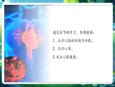【核心素養(yǎng)優(yōu)質(zhì)課】冀少版生物七年級下冊 3.2.1.3心臟（課件+同步教案+導(dǎo)學(xué)案+分層作業(yè)）