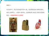 【核心素養(yǎng)優(yōu)質(zhì)課】冀少版生物七年級下冊 3.2.1.3心臟（課件+同步教案+導(dǎo)學(xué)案+分層作業(yè)）