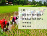 8.3.2印度【課件+教學(xué)設(shè)計(jì)】（第2課時(shí)——熱帶季風(fēng)氣候和農(nóng)業(yè)生產(chǎn)、發(fā)展迅速的服務(wù)外包產(chǎn)業(yè)）——2025新教材人教版初一地理下冊