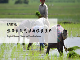 8.3.2印度【課件+教學(xué)設(shè)計(jì)】（第2課時(shí)——熱帶季風(fēng)氣候和農(nóng)業(yè)生產(chǎn)、發(fā)展迅速的服務(wù)外包產(chǎn)業(yè)）——2025新教材人教版初一地理下冊