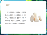 【核心素養(yǎng)優(yōu)質(zhì)課】冀少版生物七年級下冊 3.1.3.1食物在口腔中的消化（課件+同步教案+導(dǎo)學(xué)案+分層作業(yè)）